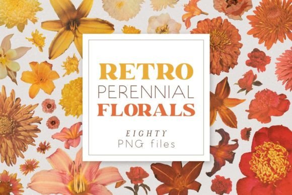 Retro Perennial Vintage Floral PNGs: A Groovy Design Asset