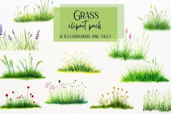 Watercolor Grass Clipart: Fresh Spring Elements for Design