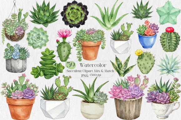 Watercolor Succulent Clipart: A Designer's Mix & Match Toolkit